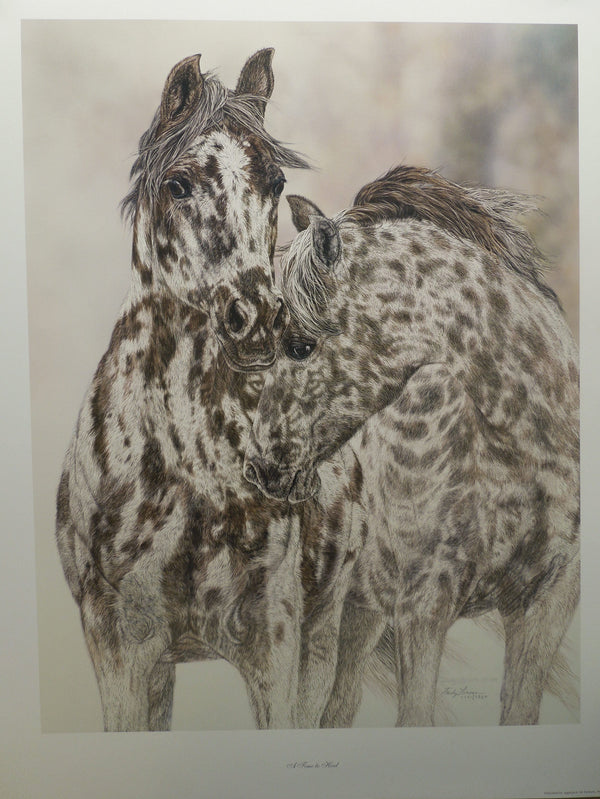 Judy Larson