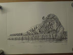 Peter Hildick Taking It Easy 9 X 16