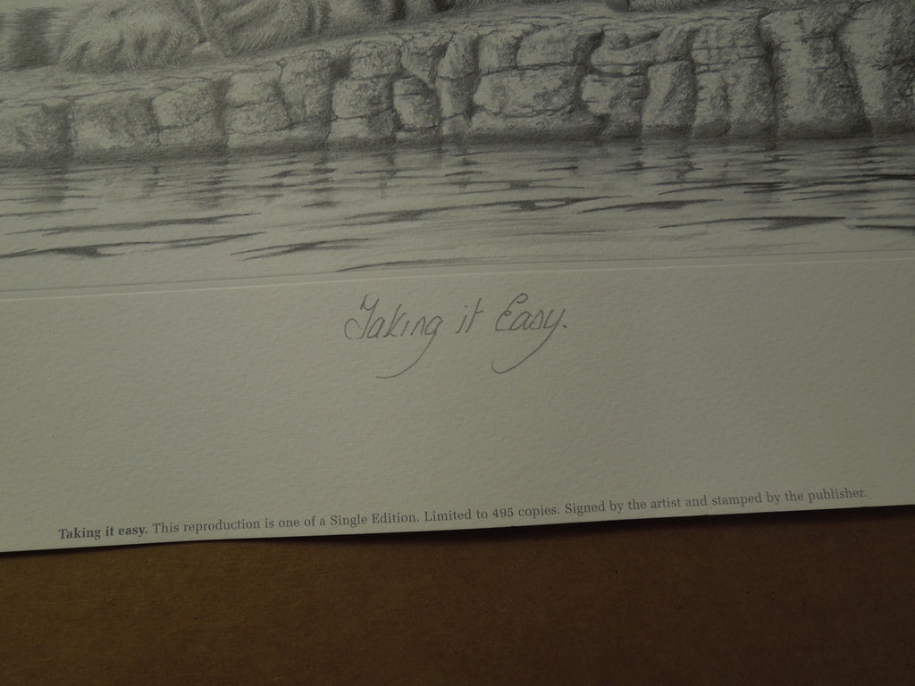 Peter Hildick Taking It Easy 9 X 16