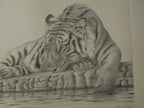 Peter Hildick Taking It Easy 9 X 16