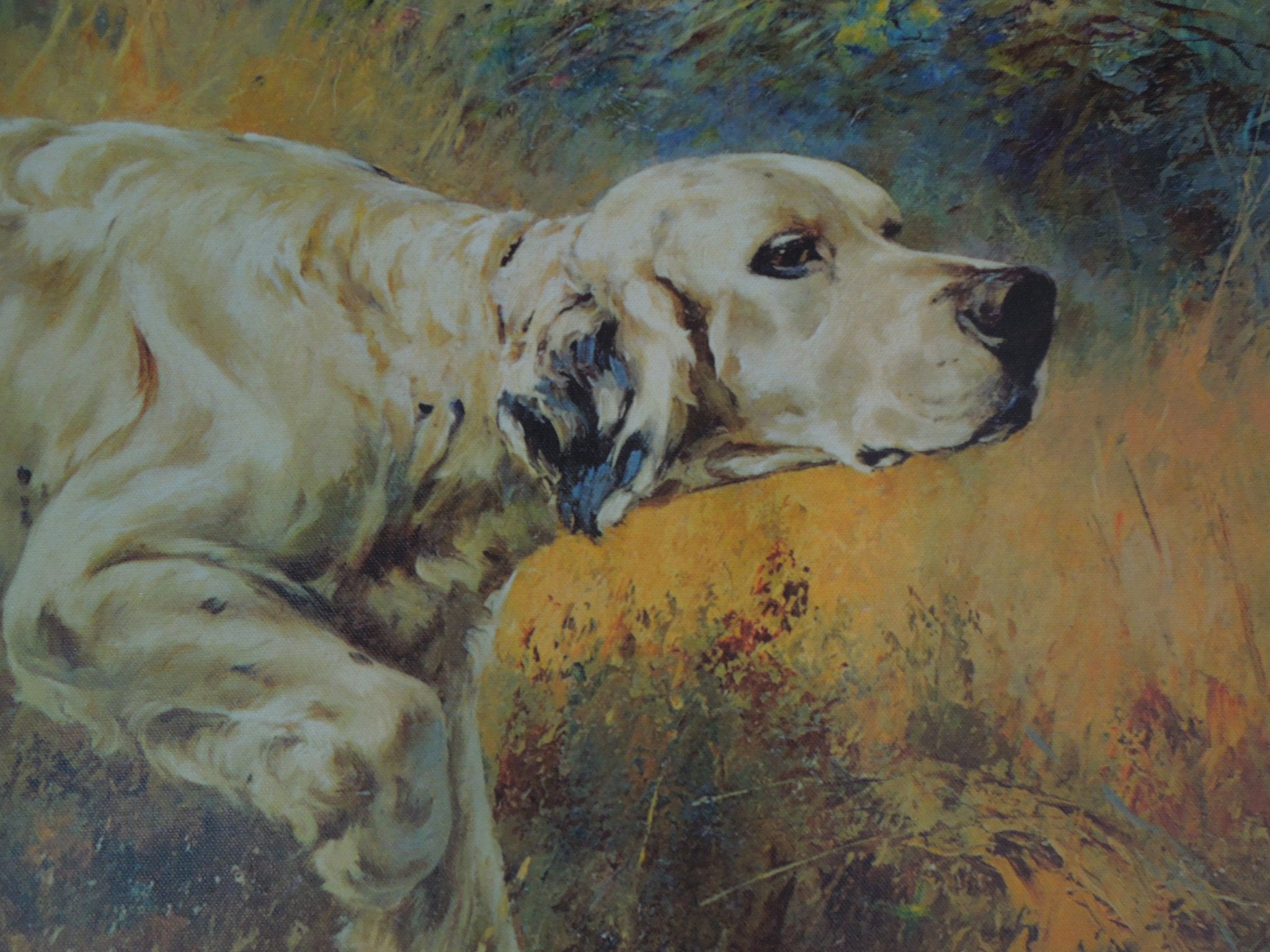 Percival L. Rosseau Two Setters