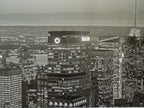 Richard Berenholtz Manhattan Skyline II