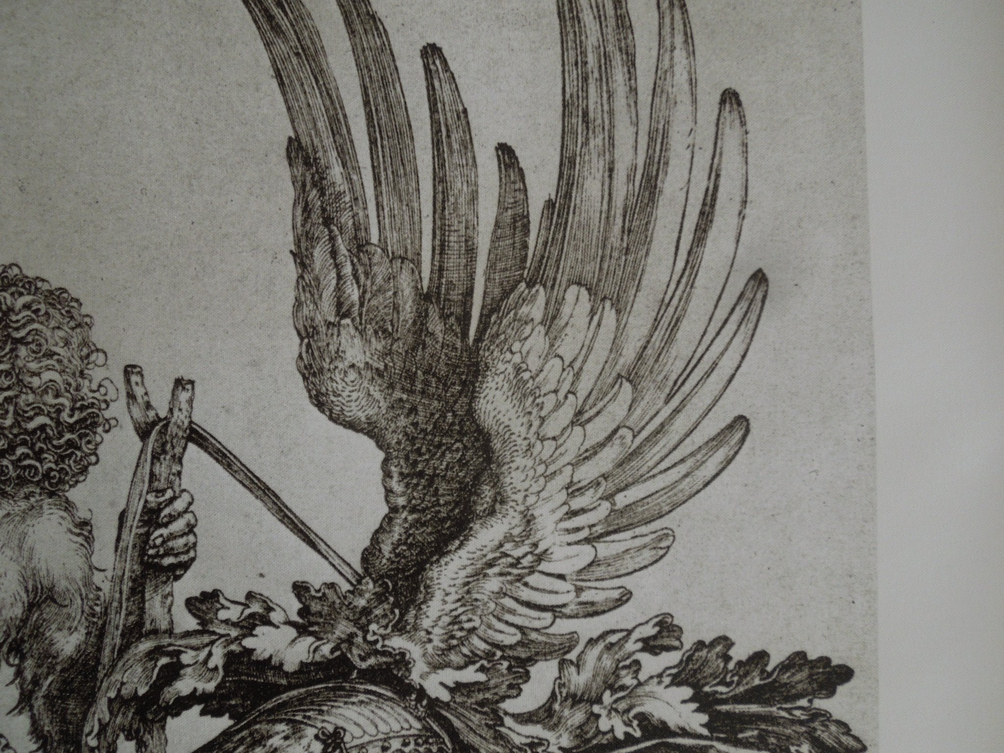 Albrecht Durer Crest With A Death's Head