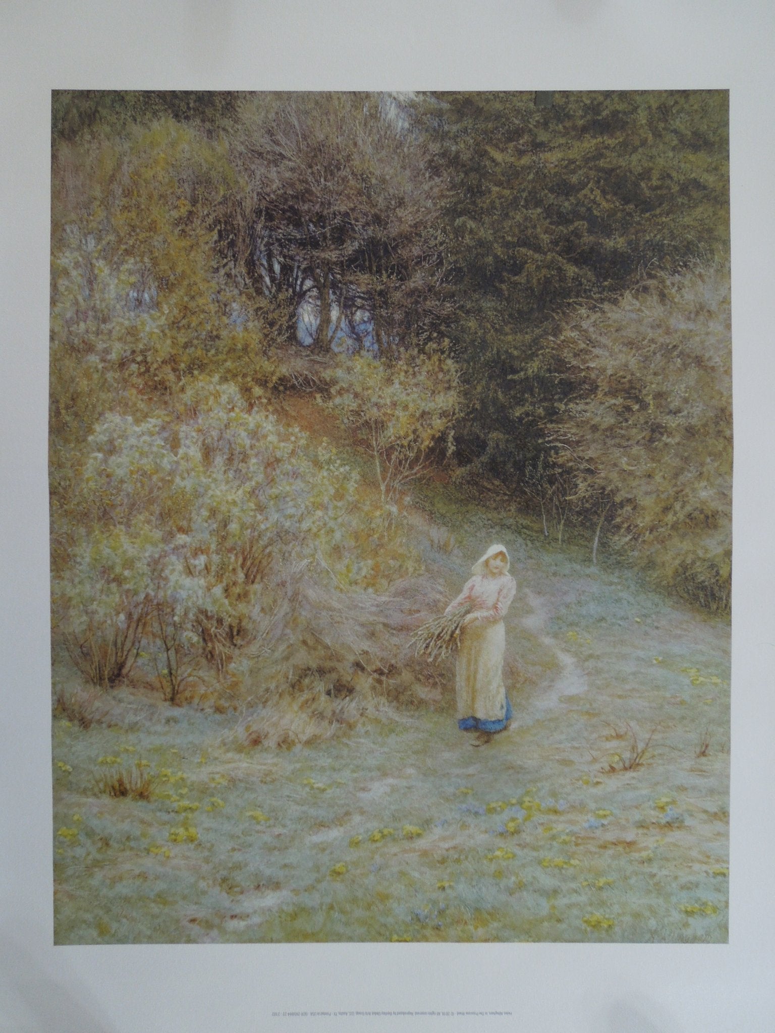 Helen Allingham In The Primrose Wood
