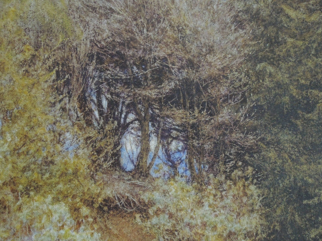 Helen Allingham In The Primrose Wood