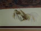 Douglas Hofmann "Satin Slippers" Gallery Framed Hand Signed Print 112/125
