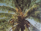 Claude Monet Small Country Farm At Bordighera