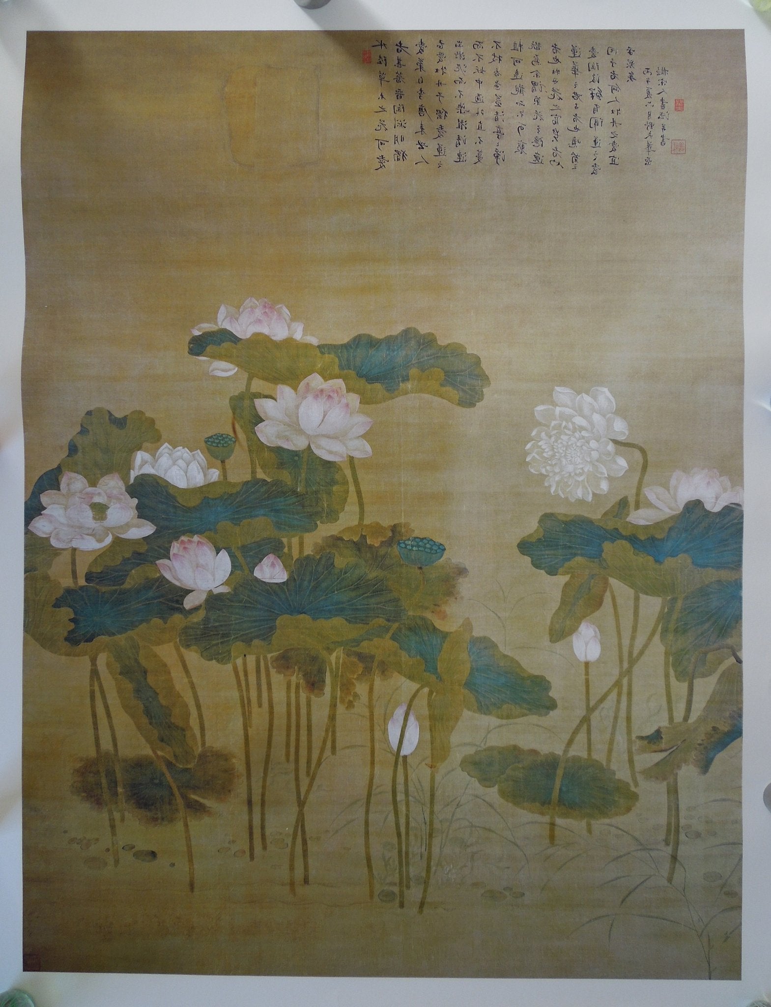 Hua Yan Lotus Pond