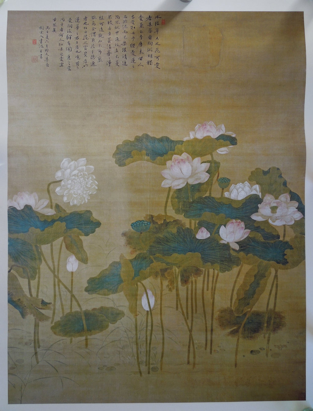Hua Yan Lotus Pond