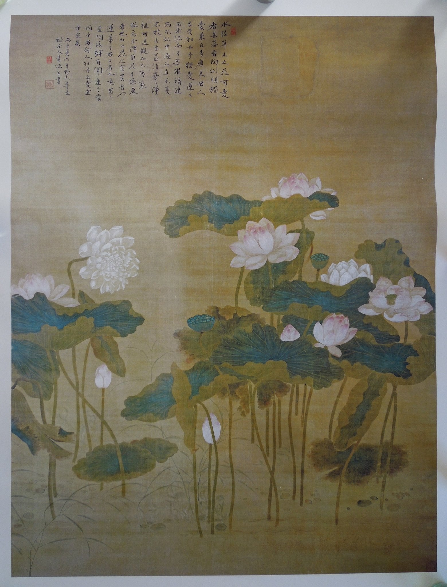 Hua Yan Lotus Pond