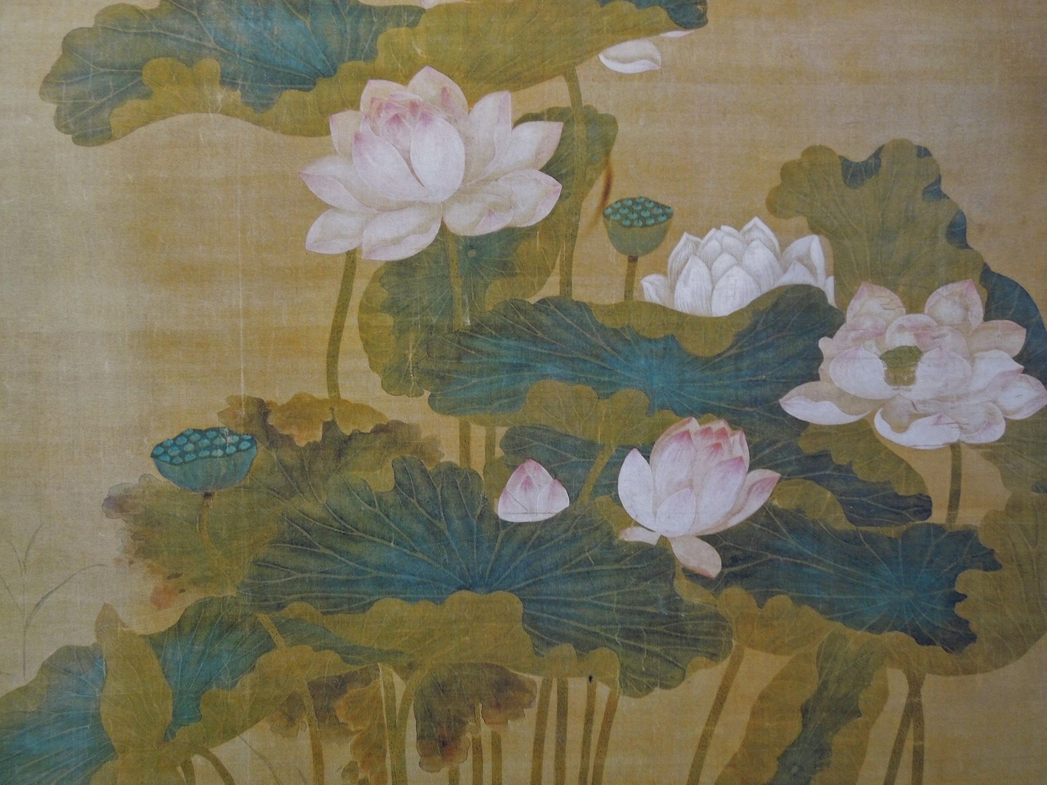 Hua Yan Lotus Pond
