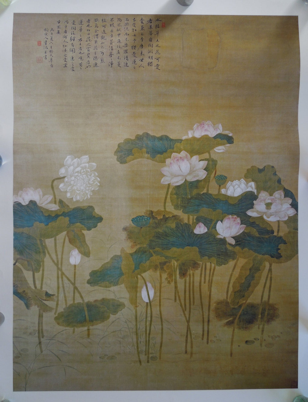 Hua Yan Lotus Pond