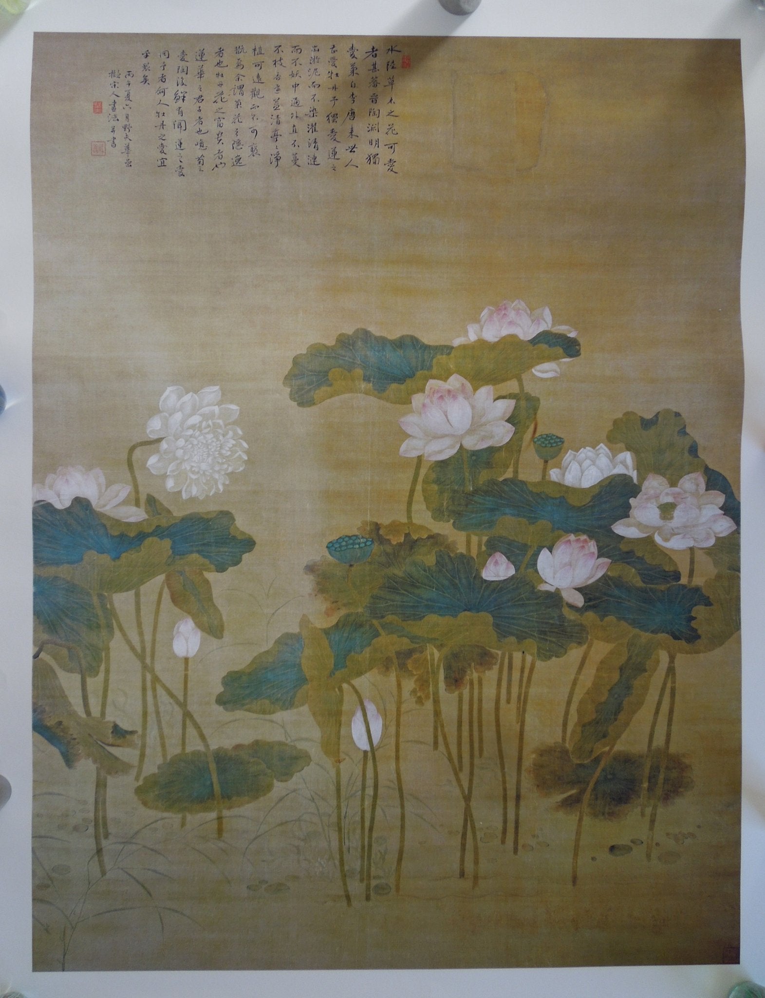 Hua Yan Lotus Pond