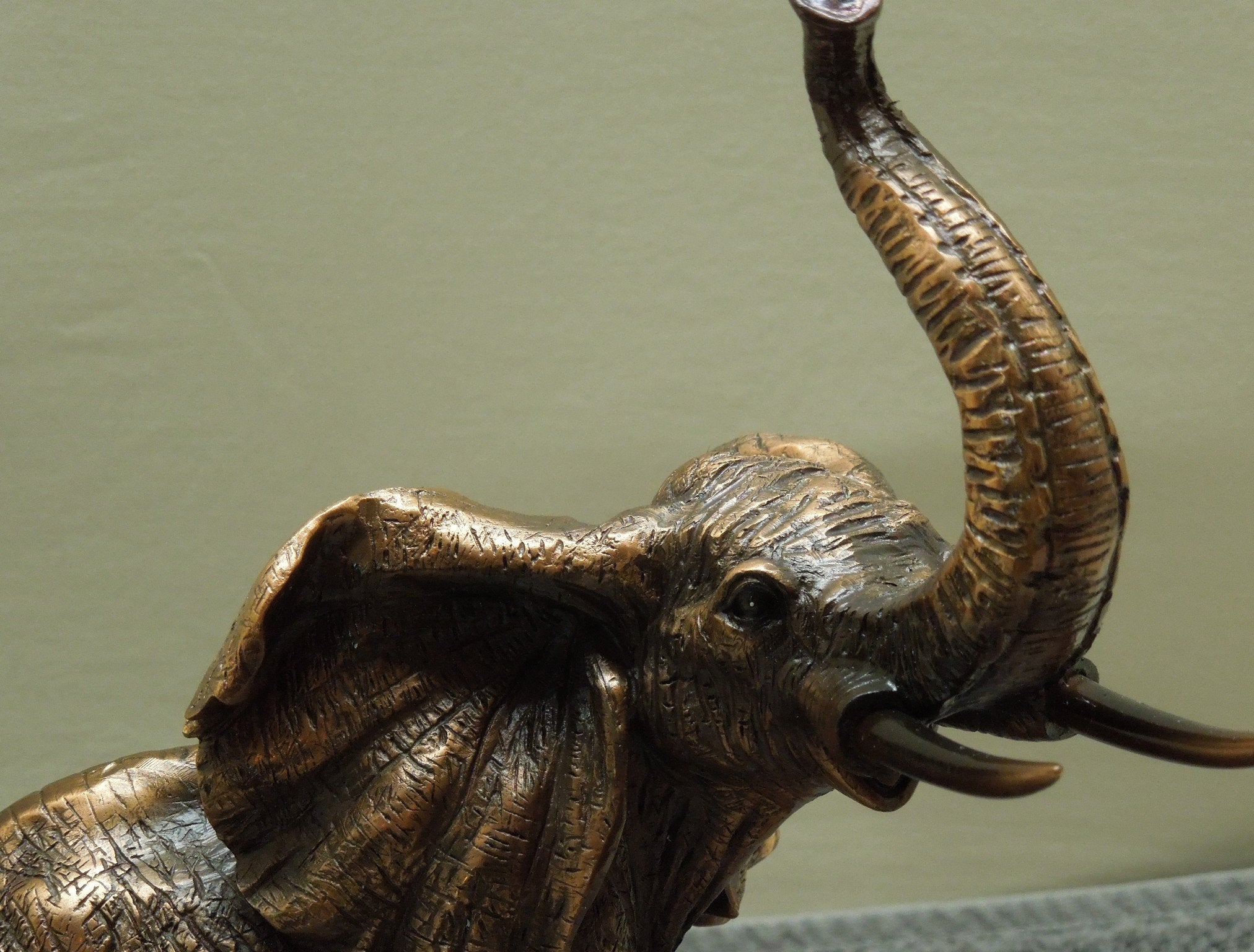 Elephant