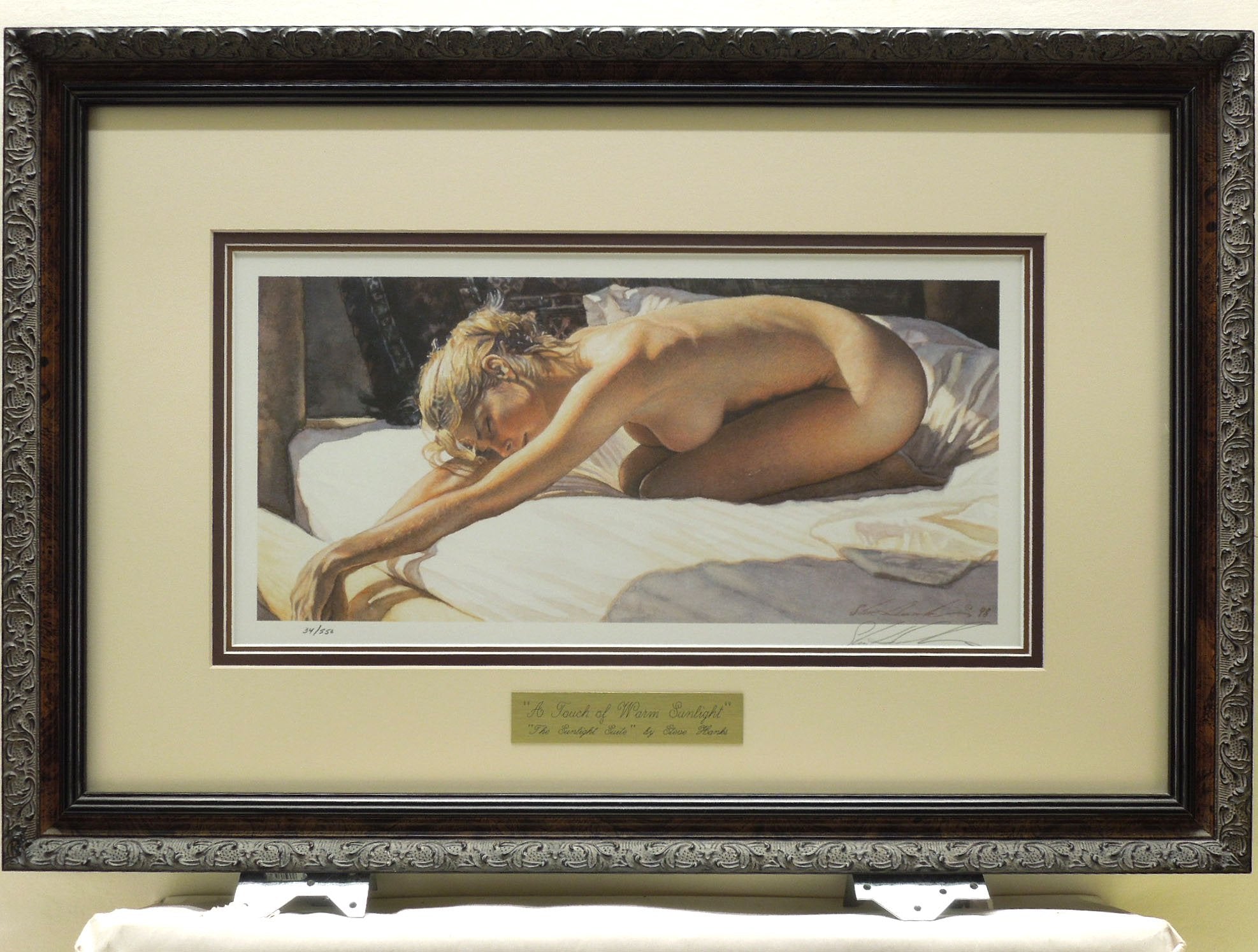 Steve Hanks "A Touch Of Warm Sunlight" Gallery Framed Hand Signed Print 34/550