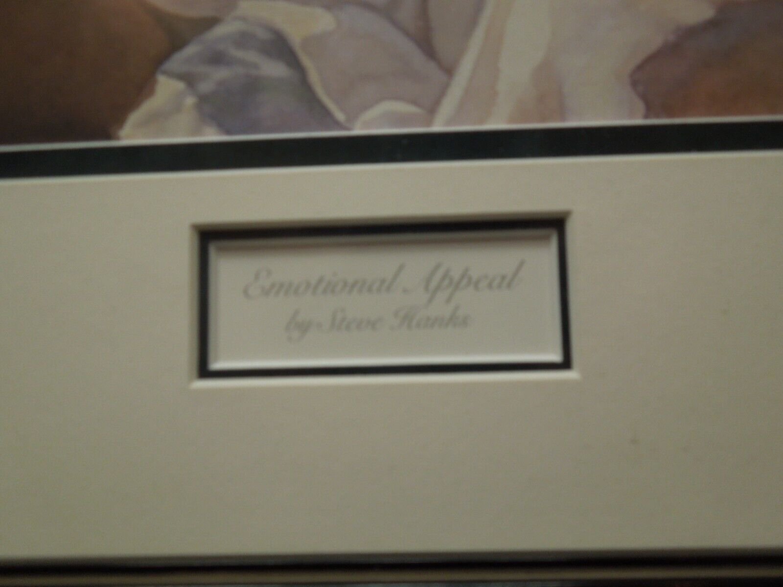 Steve Hanks "Emotional Appeal" Print Gallery Framed