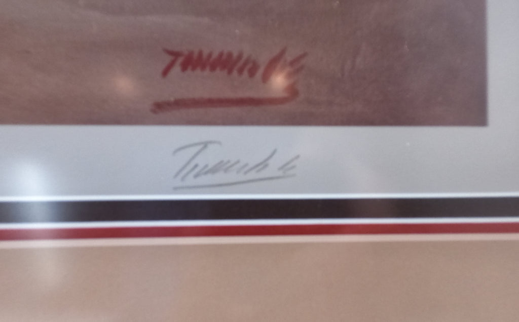 Bobby Toombs "Amanda" Lithograph Print Framed Ready To Hang Signed