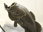 Largemouth Bass
