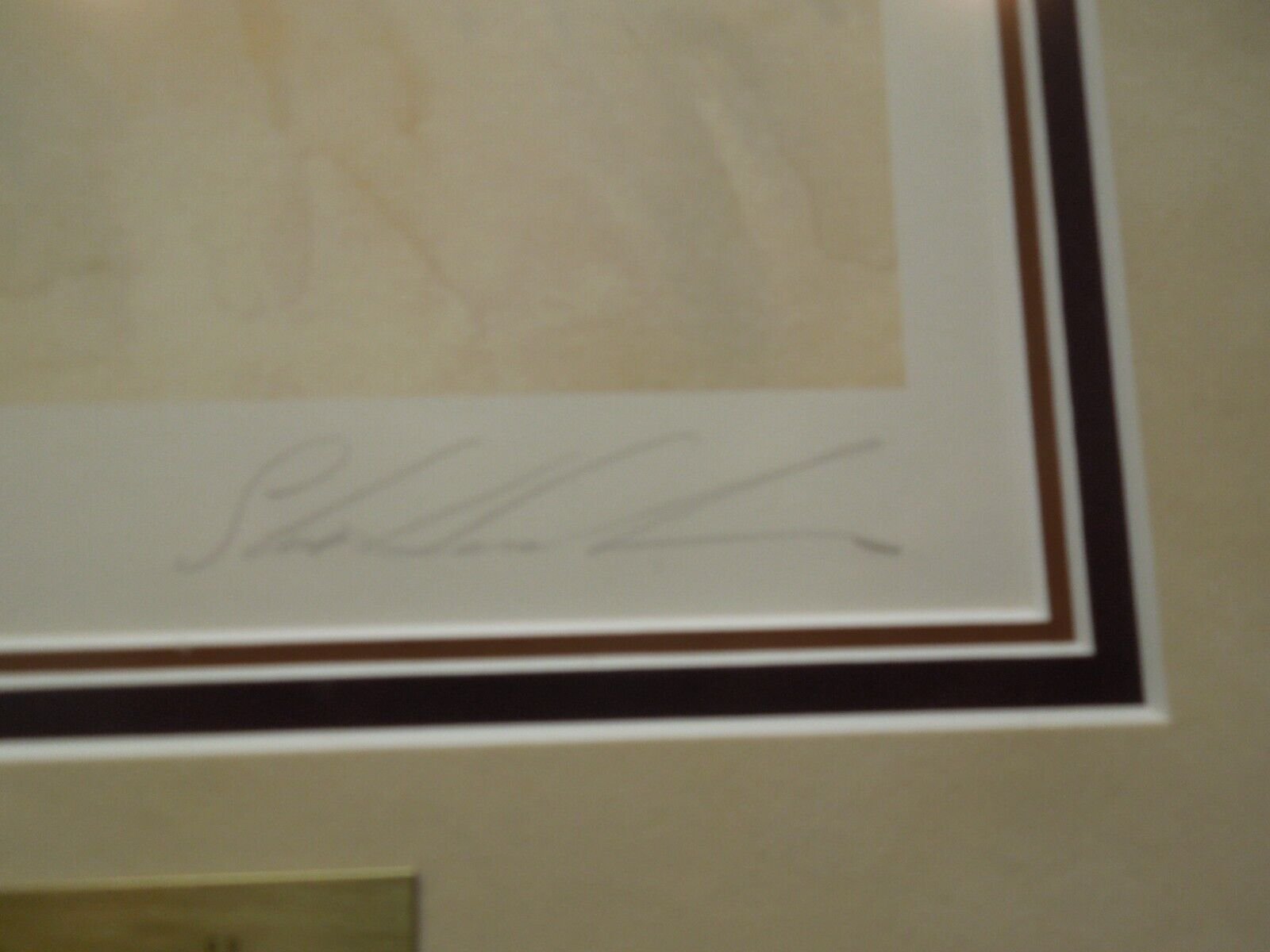 Steve Hanks "Mysteries Untold" Lithograph Print Signed Gallery Framed