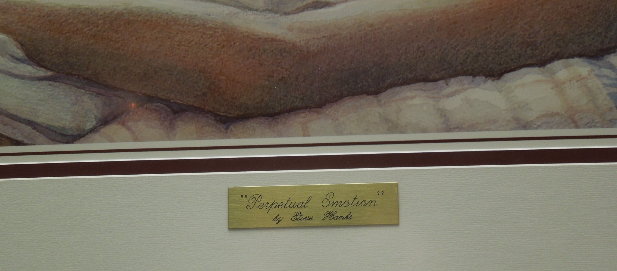 Steve Hanks "Perpetual Emotion" Gallery Framed Double Matted Print