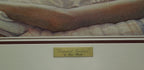 Steve Hanks "Perpetual Emotion" Gallery Framed Double Matted Print
