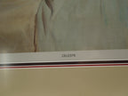 Bobby Toombs "Celeste" Gallery Framed Hand Signed Print 402/950