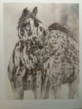Judy Larson "A Time To Heal" Signed Numbered 2451/3250 Coa