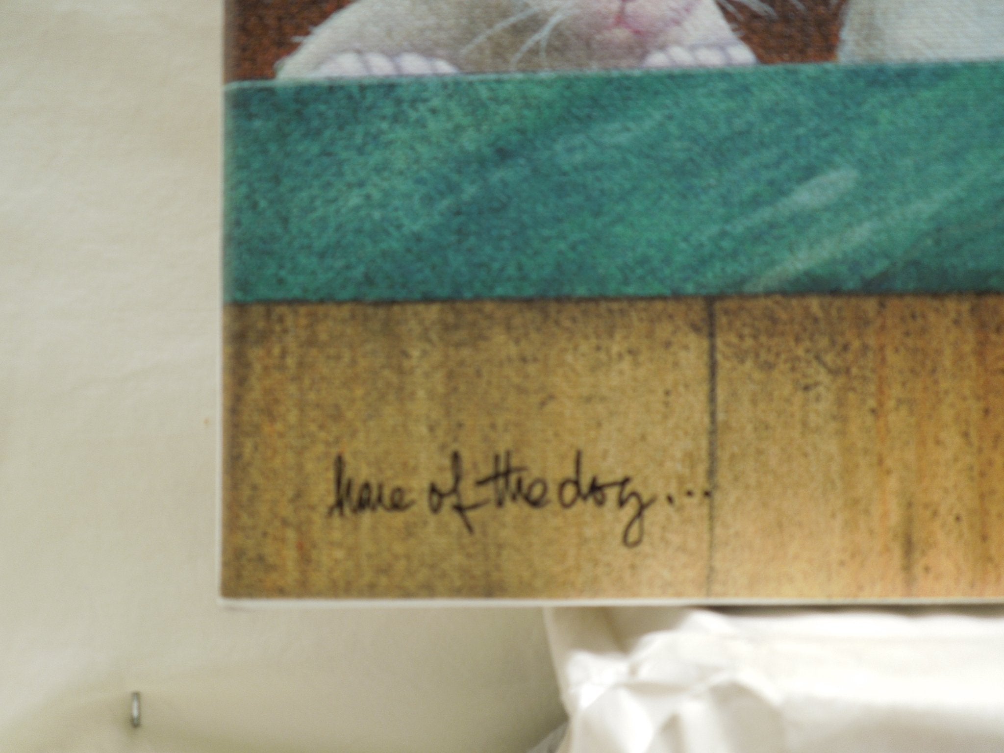 Will Bullas "Hare Of The Dog" Stretched Canvas Print Signed Numbered 66/75
