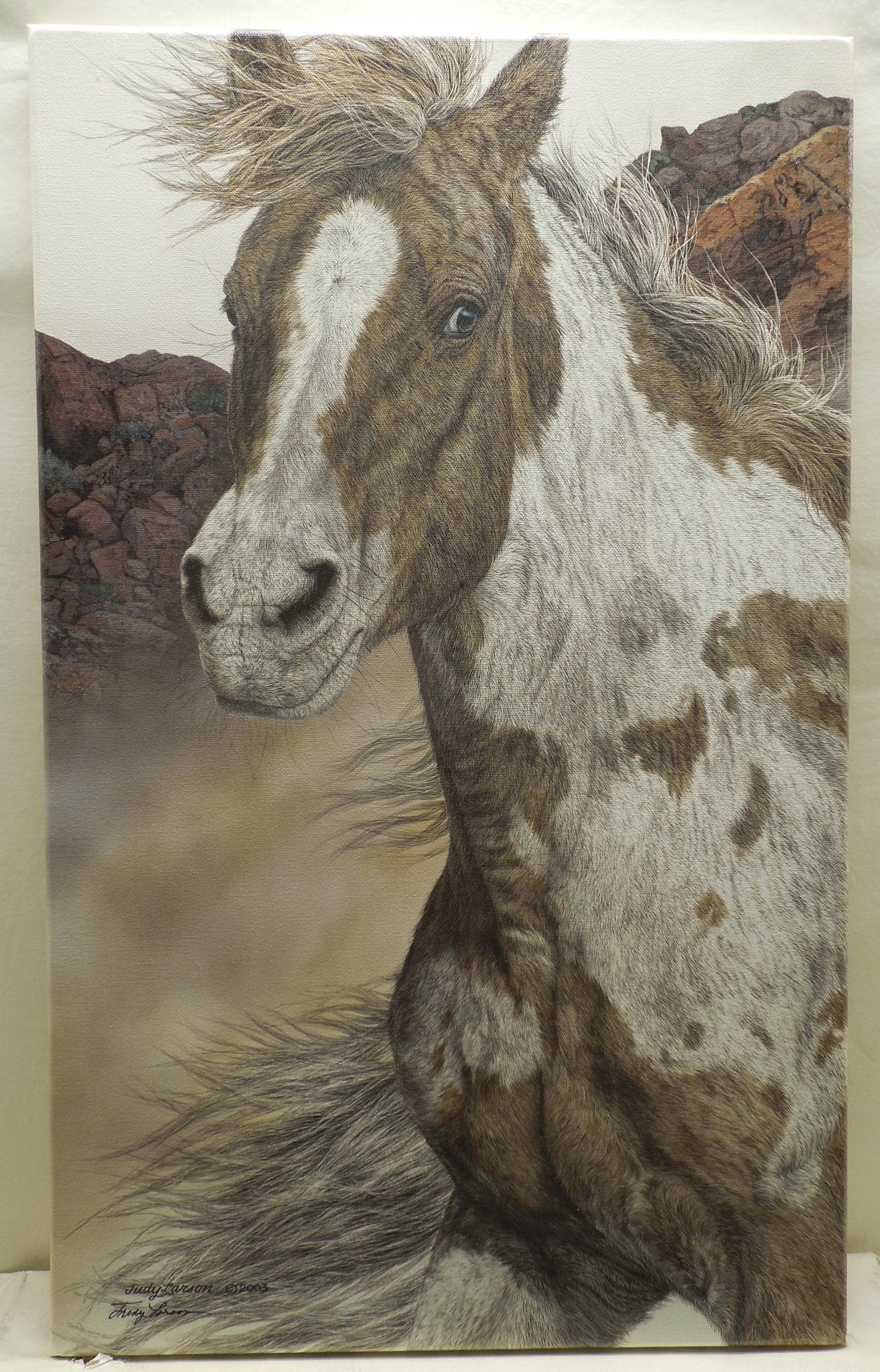 Judy Larson "Air And Escape" Stretched Canvas Print Signed Coa 12/75
