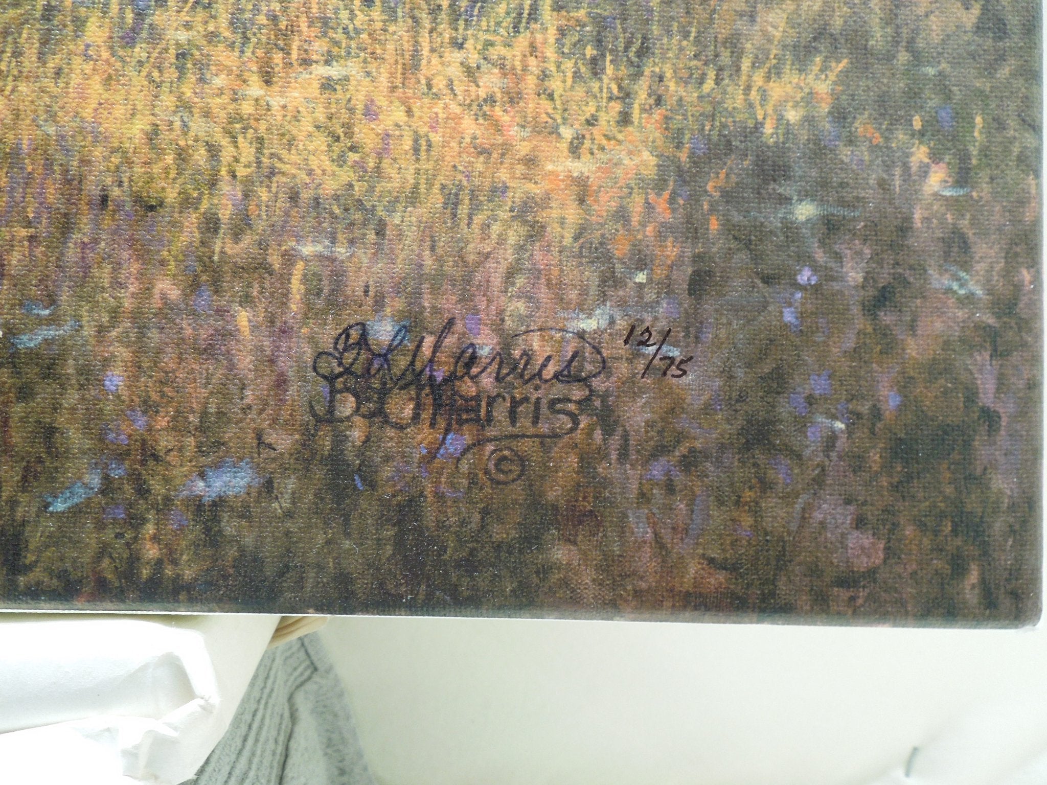 Judy Larson "Air And Escape" Stretched Canvas Print Signed Coa 12/75