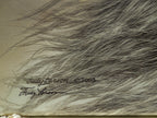 Judy Larson "Air And Escape" Stretched Canvas Print Signed Coa 12/75