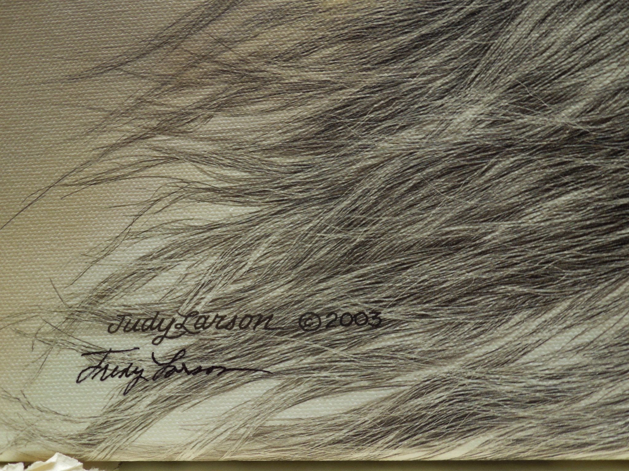 Judy Larson "Air And Escape" Stretched Canvas Print Signed Coa 12/75
