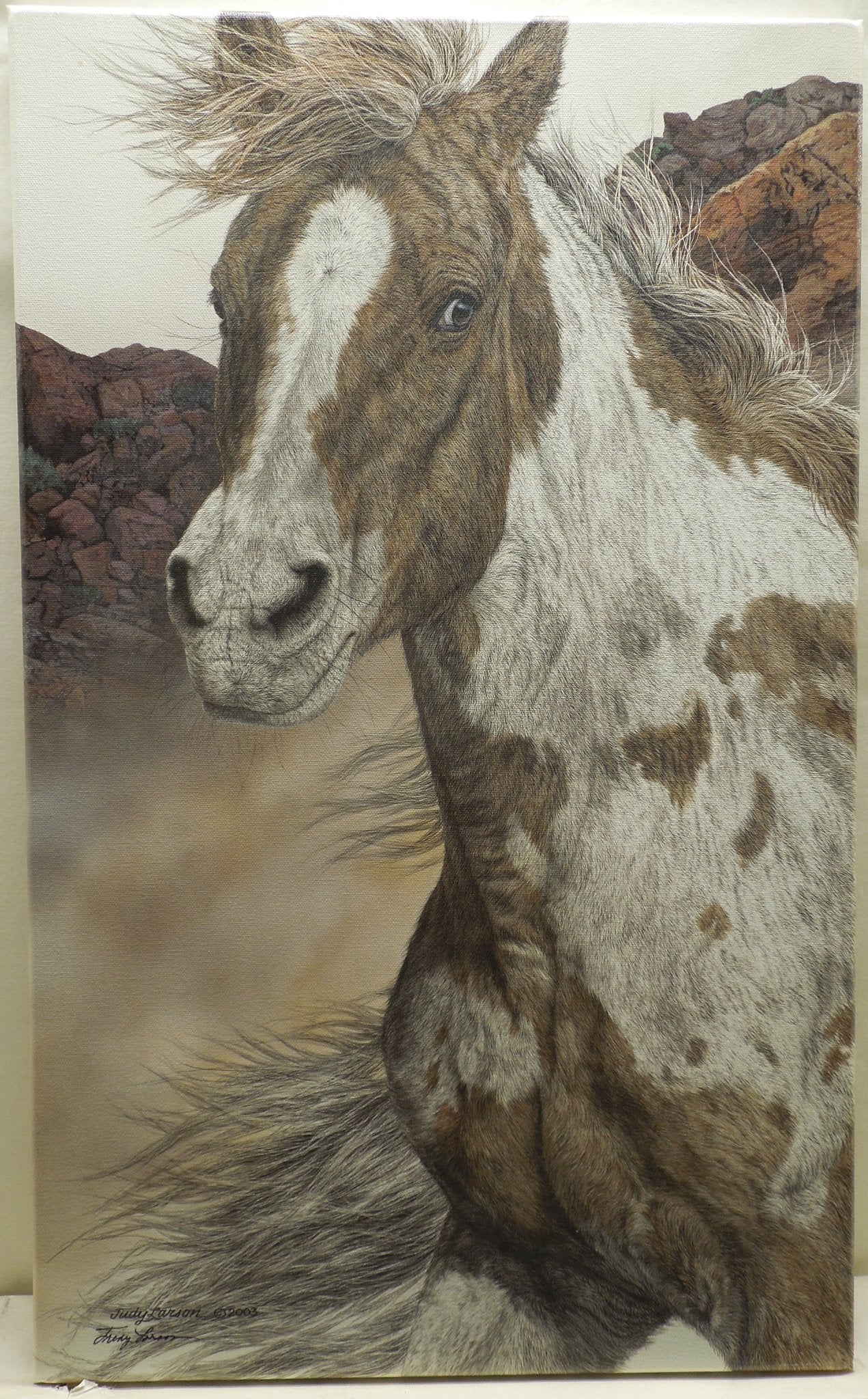 Judy Larson "Air And Escape" Stretched Canvas Print Signed Coa 12/75