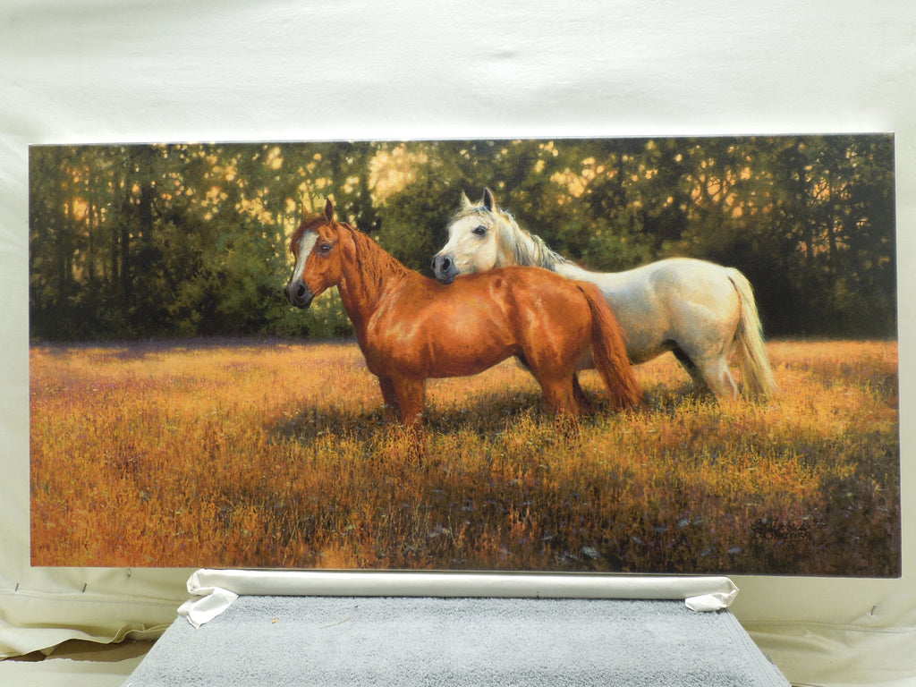 Bonnie Marris "Summer Fields" Stretched Canvas Print Signed Numbered 12/75 Coa