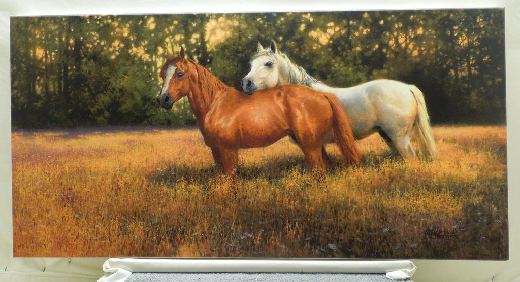 Bonnie Marris "Summer Fields" Stretched Canvas Print Signed Numbered 12/75 Coa