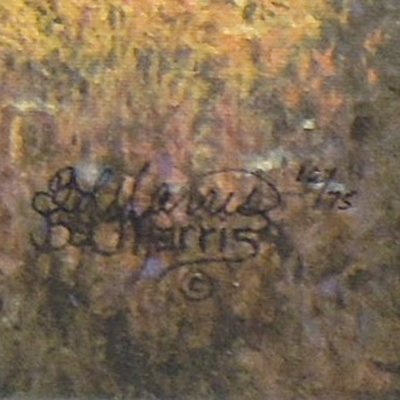 Bonnie Marris "Summer Fields" Stretched Canvas Print Signed Numbered 12/75 Coa
