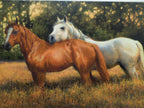 Bonnie Marris "Summer Fields" Stretched Canvas Print Signed Numbered 12/75 Coa