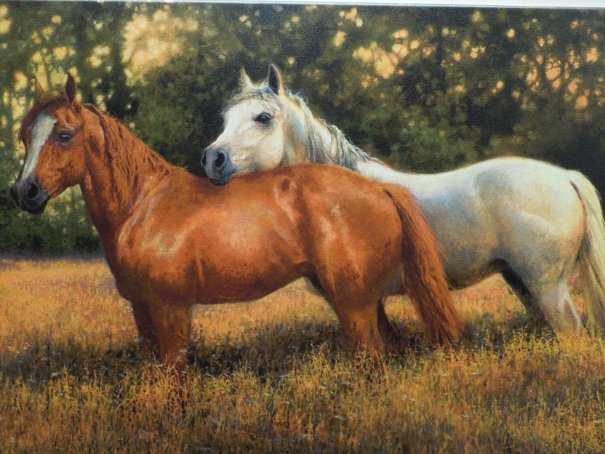 Bonnie Marris "Summer Fields" Stretched Canvas Print Signed Numbered 12/75 Coa