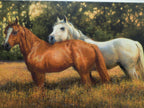 Bonnie Marris "Summer Fields" Stretched Canvas Print Signed Numbered 12/75 Coa