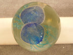 Art Glass Teal Jellyfish 6 Inch Glow In The Dark
