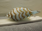Art Glass Striped Conch Shell