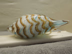 Art Glass Striped Conch Shell